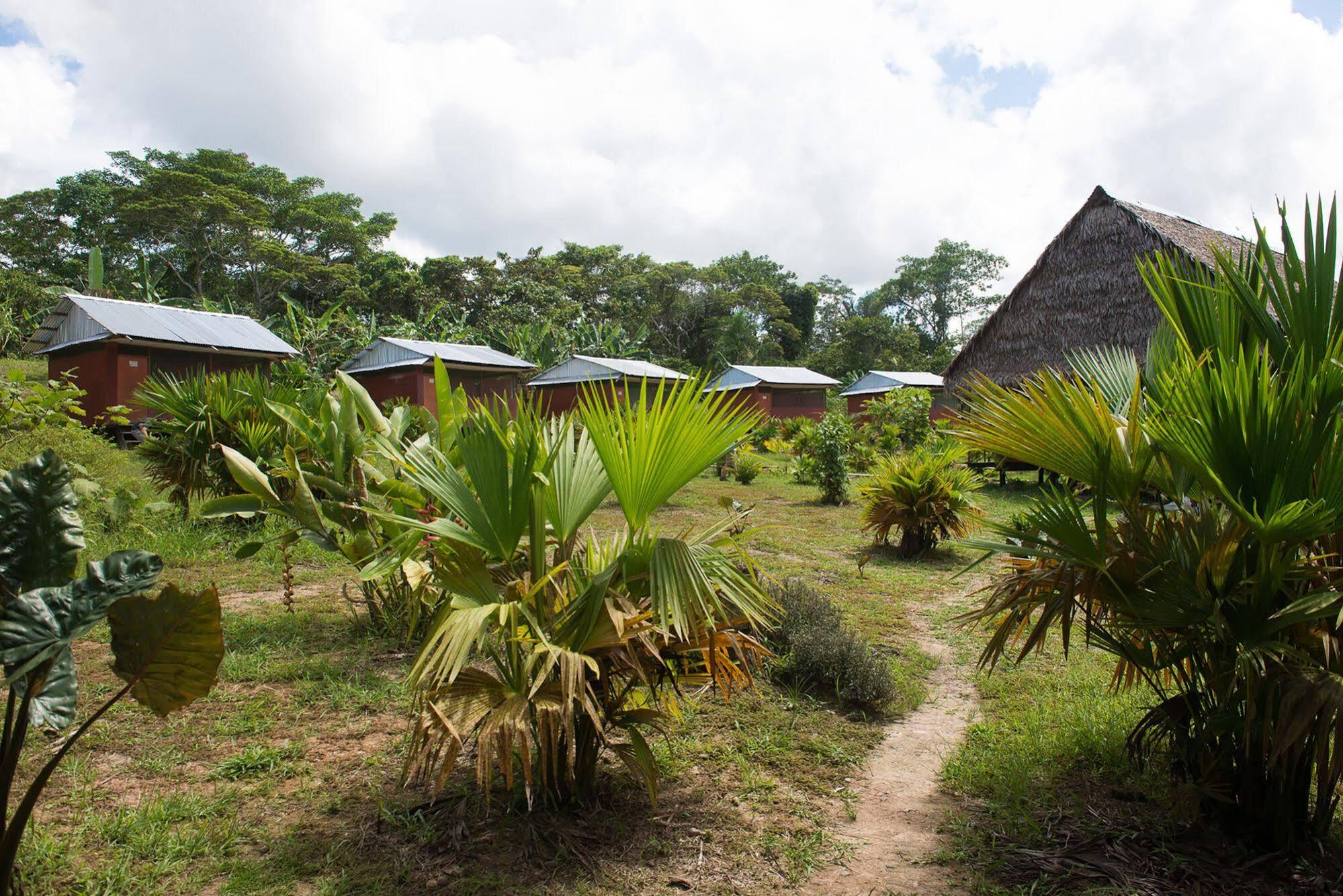 Maniti Expeditions Eco Lodge Iquitos Ngoại thất bức ảnh
